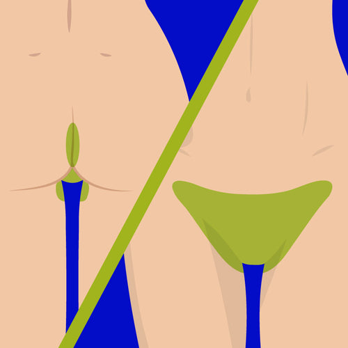 Brazilian Extendido Mujer